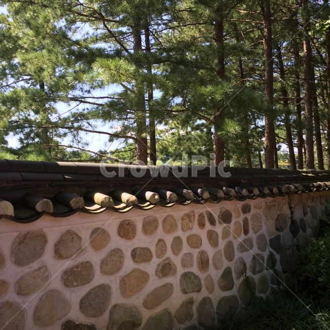 나무,산책길,돌담길,기와,돌담,한국전통,한국문화,korean traditional,korean culture,건축물,건물외관,exterior,building,structure,architecture,construction
