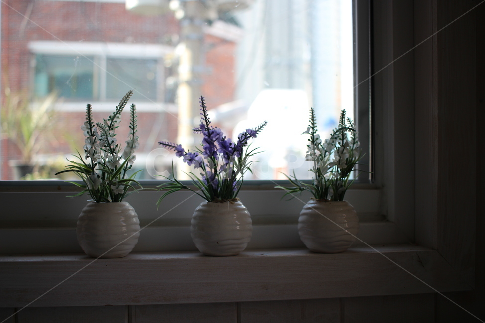 꽃,화분,꽃장식,인테리어,flower