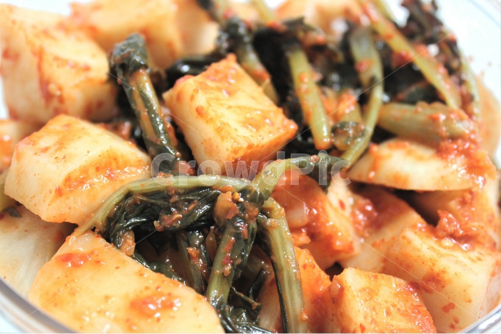 김치,총각김치,무,요리,반찬,kimchi,radish,음식,식재료,요리,food,cook,meal,dishes,food reserves,채소,야채,vegetables,한식,한국음식,한국요리,korean food,korean dishes,korean meal,korean cook