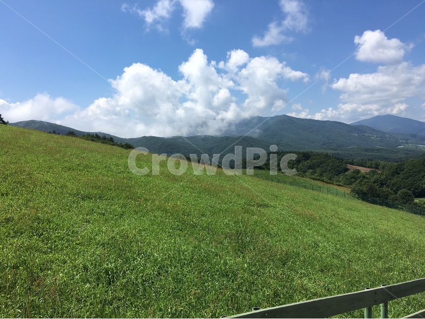 목장,초원,하늘,구름,양,자연,풍경,nature,landscape,outdoors,옥외,field,들,grassland,목초지