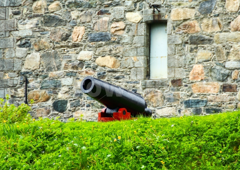 대포,무기,전쟁,방어,성벽,베르겐,노르웨이,성,Castle,요새,풀,잔디,풀밭,잡초,봄,여행,여행지,관광,관광지,해외,외국,세계,foreign,oversea,world,사물,물건,오브젝트,thing,object,matter