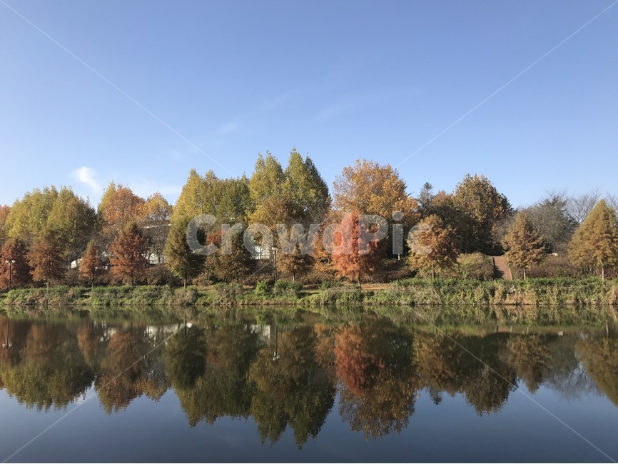 단풍,가을,fall,나무,계절,자연,tree,경관,한국자연풍경,풍경,한국자연경관,korea,landscape,가을,계절,fall,autumn,season,자연,풍경,nature,landscape,한국자연풍경,한국자연경관,korea nature landscape,water,물,outdoors,옥외