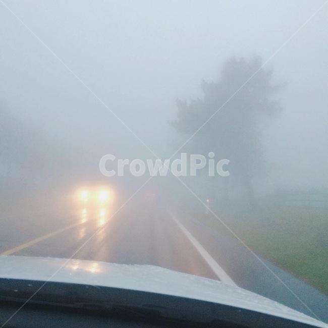 안개,도로,공포,두려움,운전,fog,mist,road,fear,horror,drive