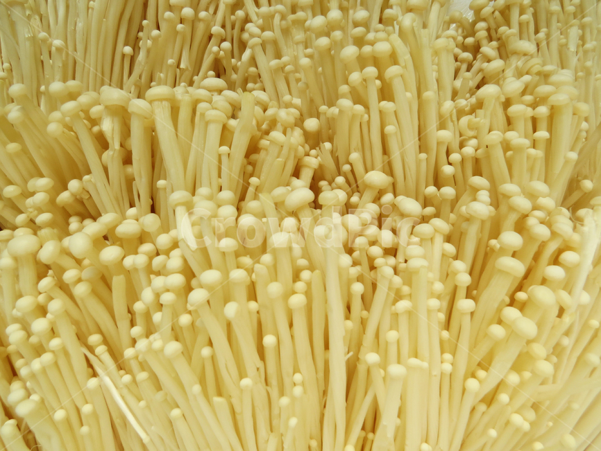 버섯,팽이버섯,텍스처,하얀,음식,건강식,음식재료,헬스케어,food,mushroom,다이어트,버섯,mushroom,음식,식재료,요리,food,cook,meal,dishes,food reserves