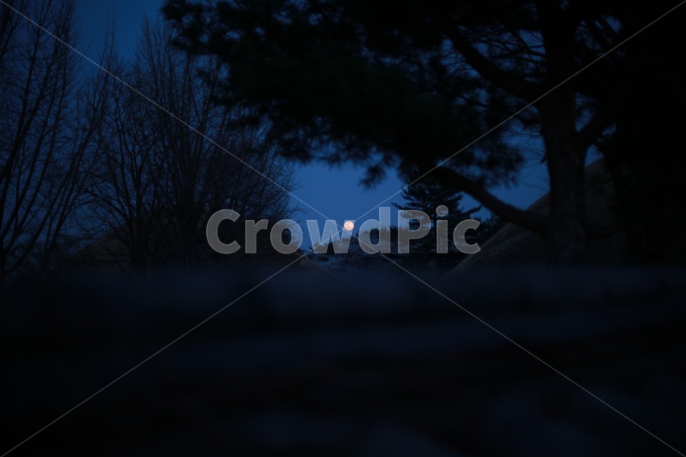 달,저녁하늘,밤,저녁,담,담벼락,나무,자연,풍경,nature,landscape,야경,밤,nightscape,night