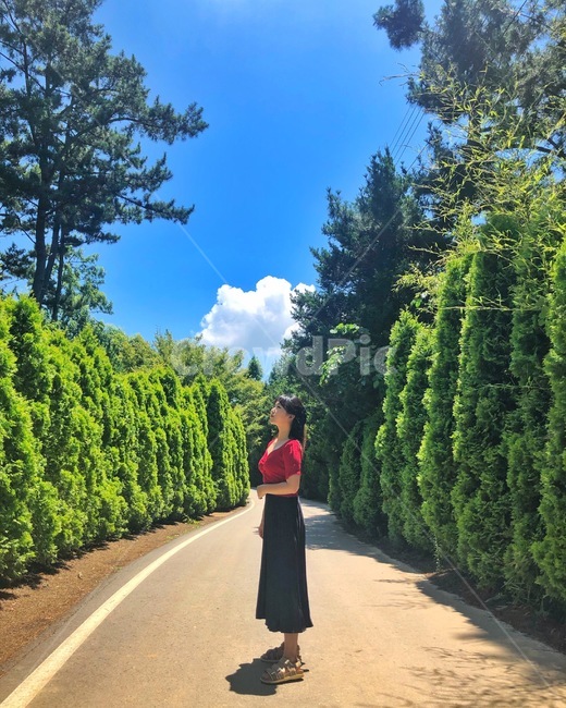 수목원,자연,나무,푸른하늘,여자전신,nature,arboretum,sky,womenstelegraph,scenery,사람,인물,인간,human,person,여성,여자,woman,female,lady