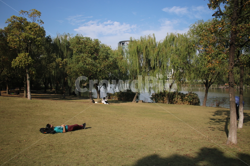 나무,grass,잔디,옥외,outdoors,휴식,편안