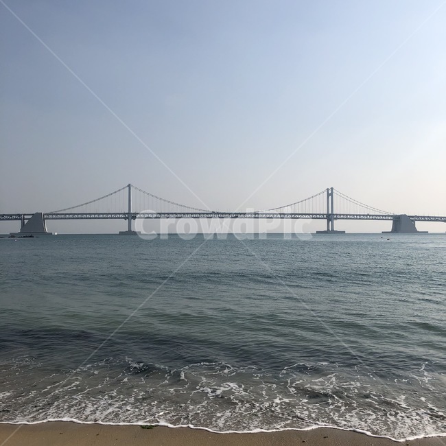 바다,부산,다리,푸른,하늘