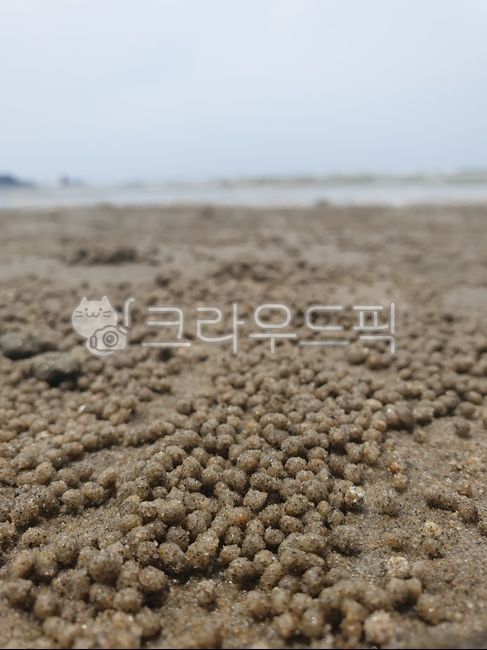 바다,해안,모래,모래사장,해안가,여름
