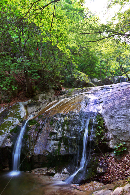 폭포,쌍폭포,계곡,물줄기,암석,자연,풍경,숲,자연,풍경,nature,landscape,water,물,river,강,outdoors,옥외,waterfall