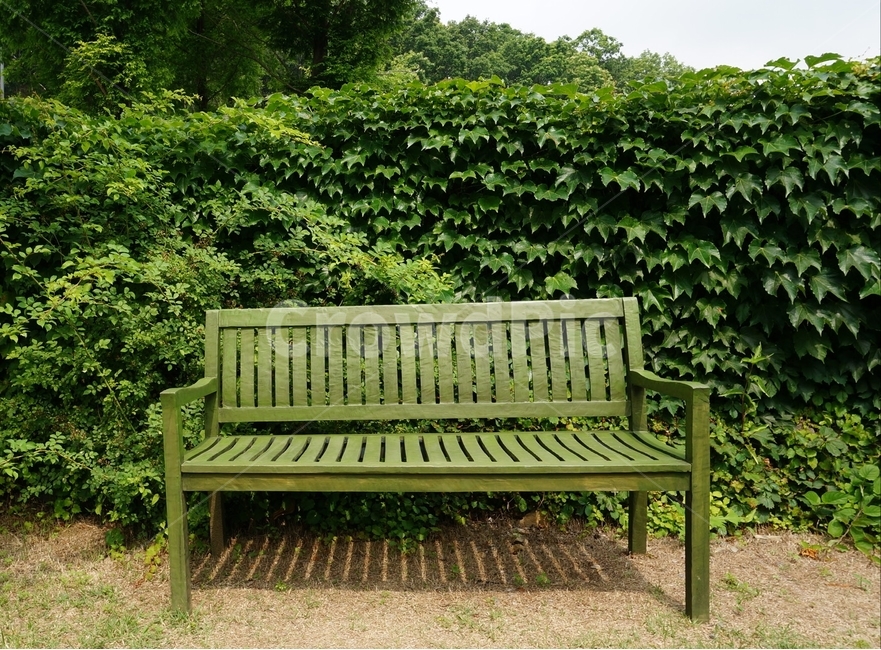 의자,여름,초록,무더운,뜨거운,식물,풍경,벤츠,자연,풍경,nature,landscape,bench,벤치