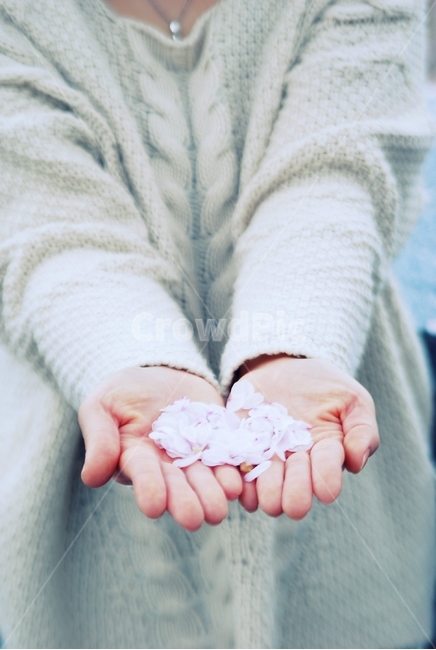 봄,봄날,벚꽃엔딩,벚꽃,꽃나무,벚꽃나무,필름,감성,풍경,식물,꽃4월,흩날리는,꽃가지,분홍색,spring,pink,몽환적,따스한,꽃구름,꽃잎,꽃길,계절,season,자연,plants,nature,flower,감정,sensible,feeling,emotion,봄소풍,소풍,감성사진,느낌,배경,백그라운드,바탕화면,친환경,꽃눈,사람손,손받이,봄,계절,spring,season,꽃,flower,사람,인물,인간,human,person,신체일부,몸,body,여성,여자,woman,female,lady,감성,sensible,feeling