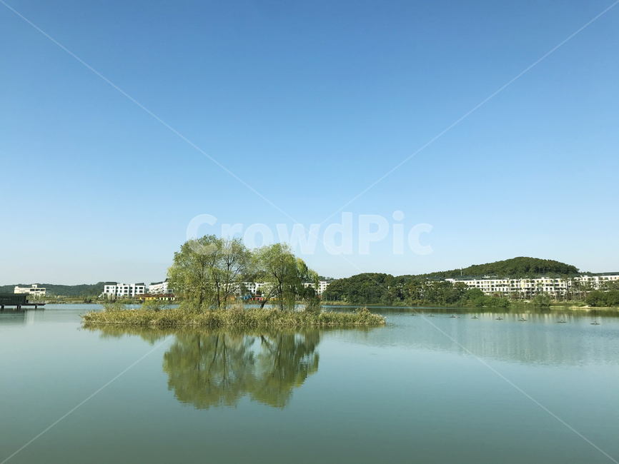 동탄호수공원,호수공원,동탄2호수,자연,호수,lake,버들나무,natural,water