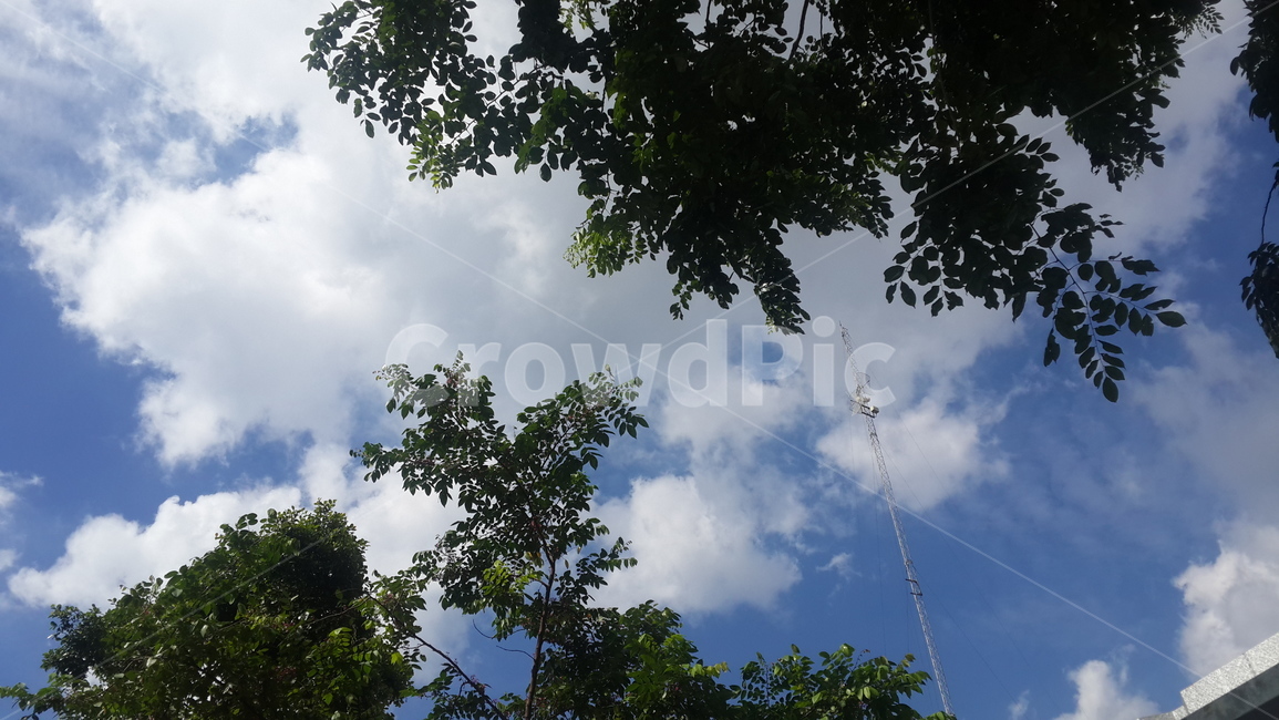 하늘,파란하늘,푸른하늘,나무,sky,blue,bluesky,clearsky,nature,자연,자연,풍경,nature,landscape,weather,날씨,outdoors,옥외