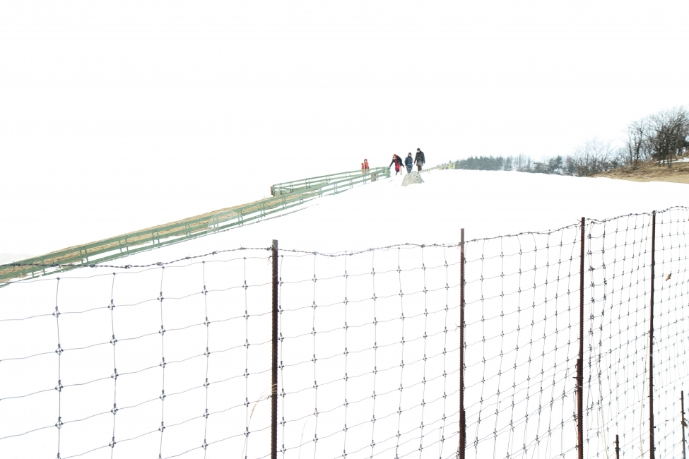 겨울풍경,설경,자연,감성,철조망있는풍경,겨울,계절,winter,season,자연,풍경,nature,landscape