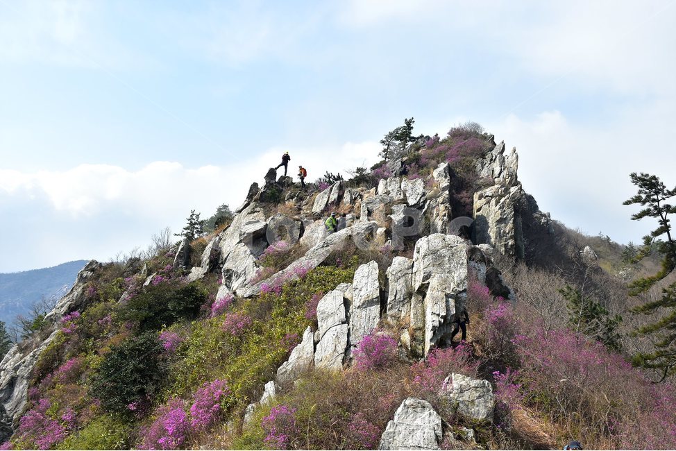 주작산,덕룡산,종주,진달래,풍경,기암,바위,비경,봄풍경,진달래꽃,강진,명산,산행,등산,마운틴,힐링,mountain,landscape,자연,natural,봄,계절,spring,season,자연,풍경,nature,landscape,한국자연풍경,한국자연경관,korea nature landscape