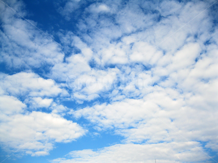 하늘,구름,파랑,흰구름,자연,색감,풍경,color,sky,blue,skyblue,nature