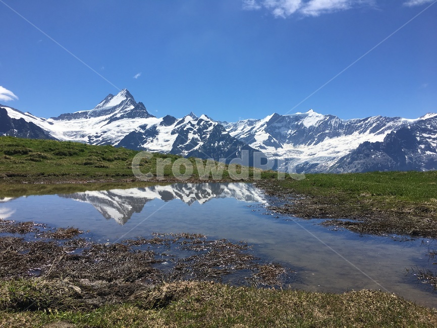 스위스,스위스풍경,피르스트,자연풍경,설경,자연,풍경,nature,landscape,해외,외국,세계,foreign,oversea,world,세계자연풍경,해외자연풍경,외국자연풍경,world nature landscape,outdoors,옥외,mountain,산,mountain range,산맥,ice,빙,land,땅