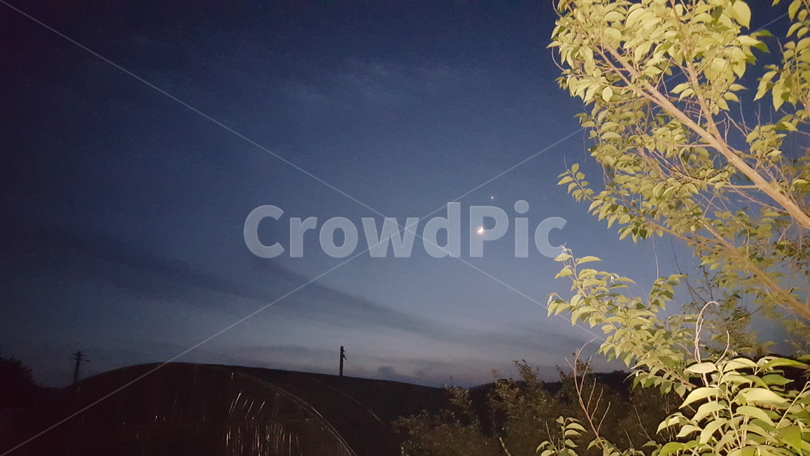 저녁,별,달,하늘,자연,야경,밤,풍경,nightscape,night,landscape,nature,tree,나무,plant,식물,outdoors,옥외