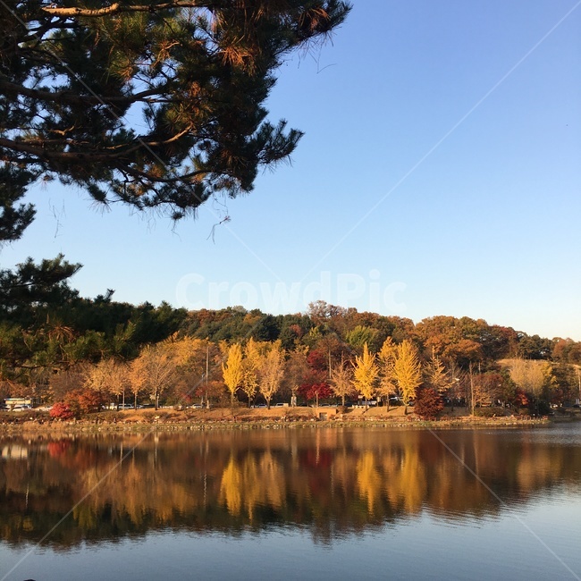 물,자연,water,호수,풍경,가을,계절,fall,autumn,season,nature,lake,outdoors,옥외