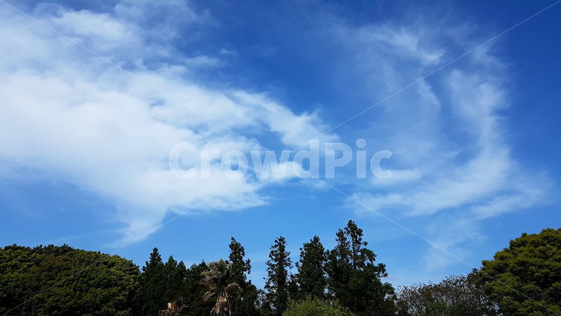 특이한구름,구름형상,말,하늘,풍경,uniqueclouds,horseshapedclouds,sky,nature,clouds,blue