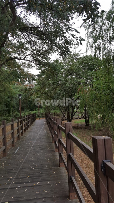 길,오솔길,시원함,나무,풍경,자연,풍경,nature,landscape,handrail,난간,banister,railing