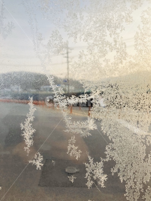 서리,겨울,추위,눈결정,아침,snow,눈