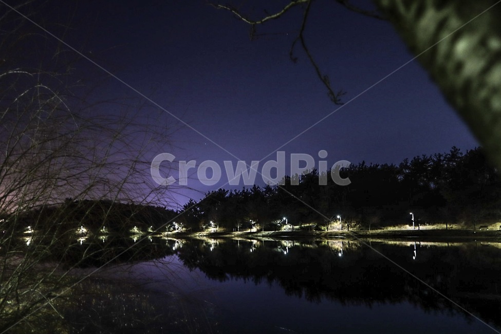 하늘,야경,풍경,자연,은파호수공원,호수,배경,저녁,sky,빛,night,밤,색상,군산,나무,tree,보라색,저녁하늘,산책로,자연,풍경,nature,landscape,야경,밤,nightscape,night,outdoors,옥외