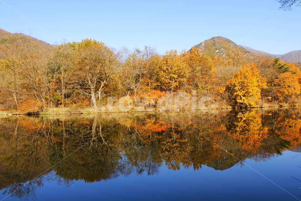 반영,풍경,가을,단풍,영동군,가을,계절,fall,autumn,season,자연,풍경,nature,landscape,water,물,outdoors,옥외