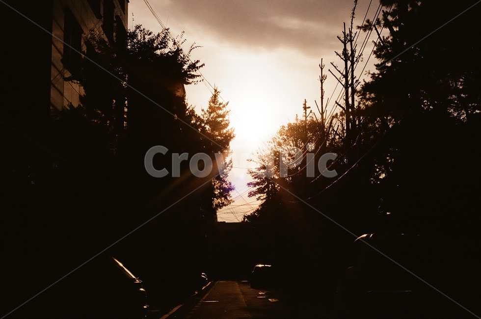 light,빛,flare,플레어,노을