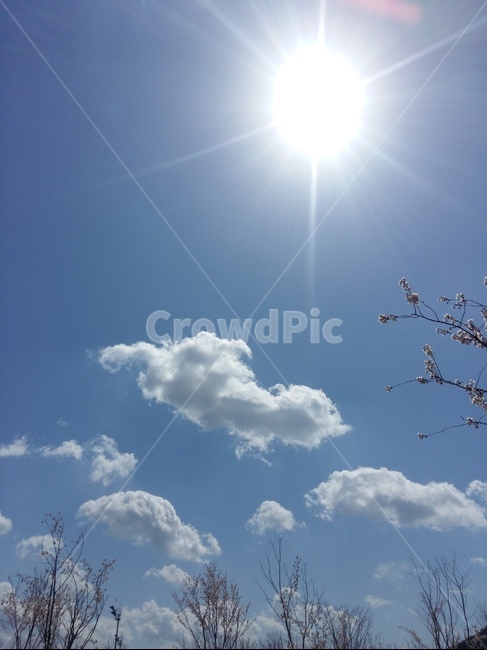뭉게구름,봄,파랑하늘,햇빛,바람,낮,자연,풍경,nature,landscape,light,빛,flare,플레어,outdoors,옥외,sky,하늘