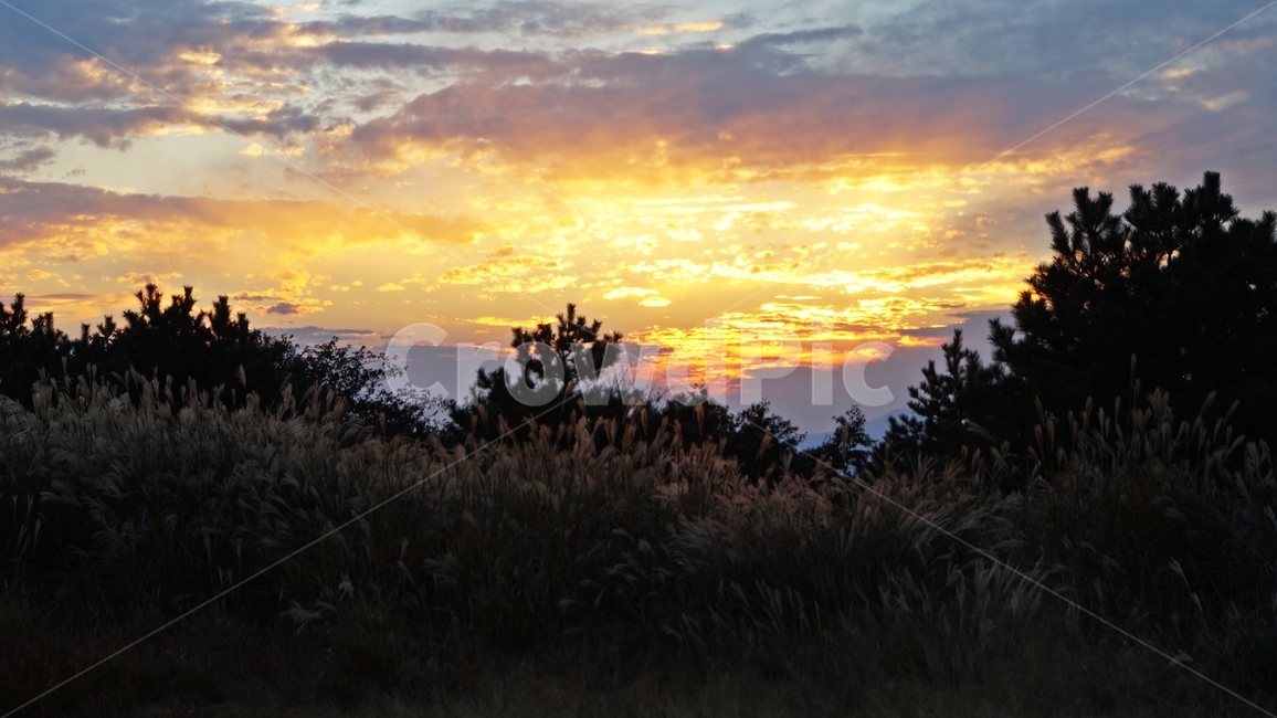 가을,가을산,풍경,가을풍경,억세풀,자연,풍경,nature,landscape,outdoors,옥외,dusk,황혼,sunset,일몰,dawn,새벽,sky,하늘,red sky,붉은 하늘
