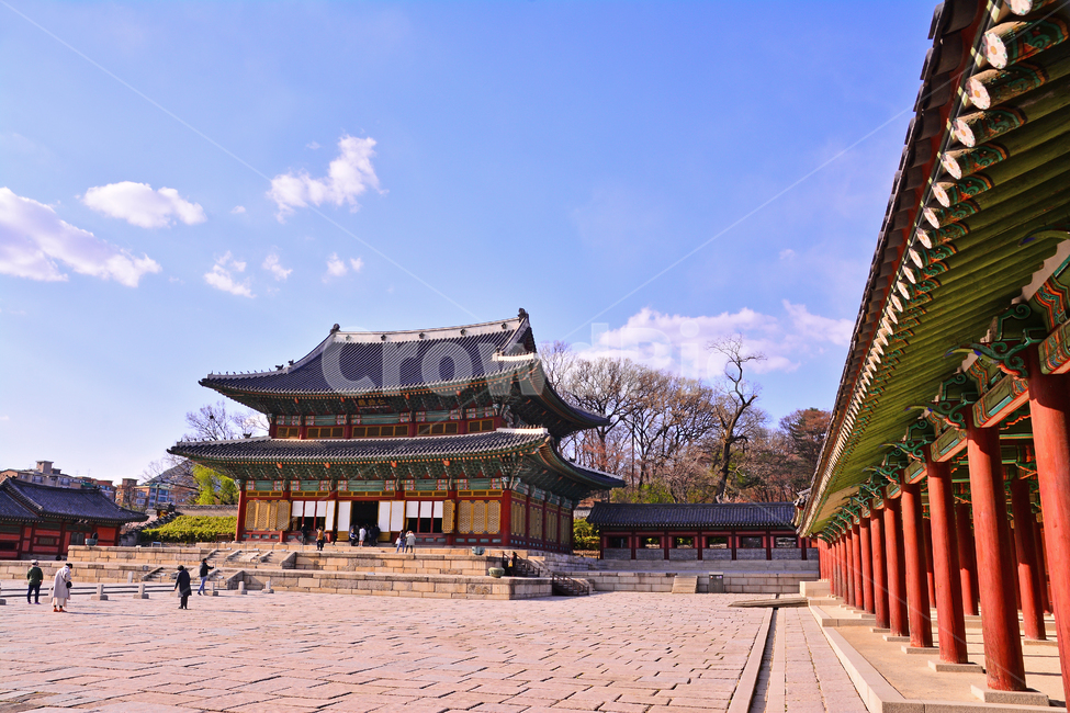 한국전통,고궁,궁궐,창덕궁,전통,배경,바탕,백그라운드,korean,traditional,ancientpalace,spring,시즌,계절,조선시대,건축물,서울,기와집,하우스,집,한국적,코리안,나무,하늘,구름,한국전통,한국문화,korean traditional,korean culture,랜드마크,landmark,tourist attraction,한국랜드마크,한국관광지,한국명소,korea landmark,korea tourist attraction,건축물,건물외관,exterior,building,structure,architecture,construction