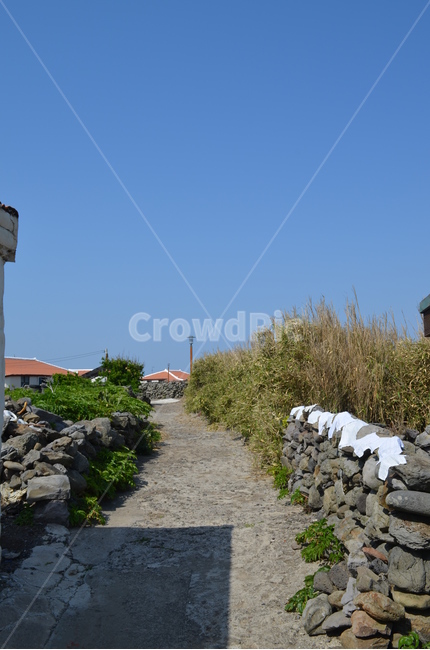 돌담,골목길,제주도,가파도,올레길,제주도,jeju,jeju island,시골,마을,풍경,landscape,country,rural,town,flagstone,판석,walkway,보도,path,통로