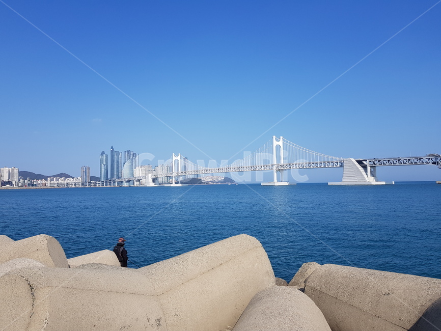 낚시,광안대교,바다,해운대,광안리,더베이