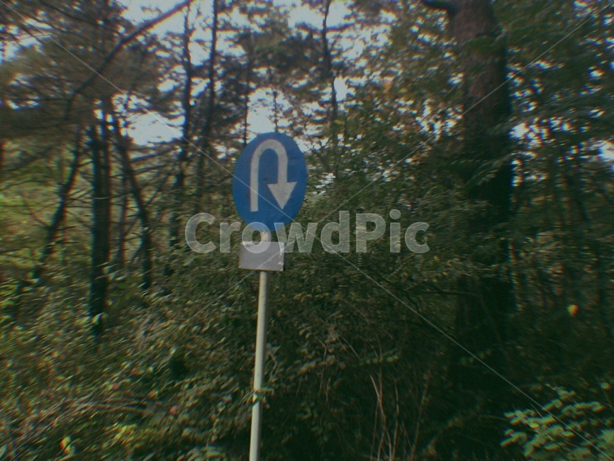 산,나무,휴식,산속,풀숲,자연