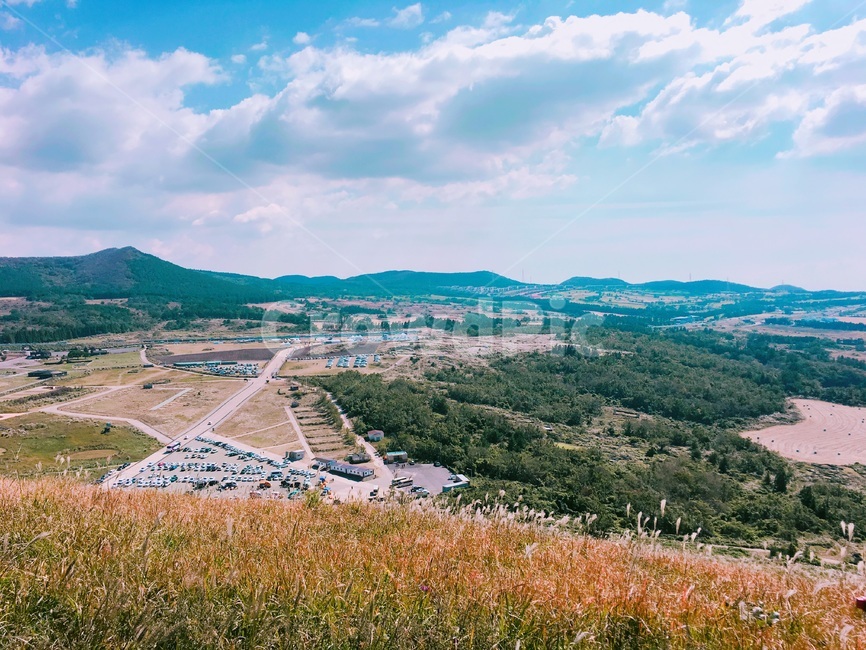 제주,제주도,하늘,맑음,자연,햇빛,새별오름,억새,jeju,jejuisland,sky,sunny,nature
