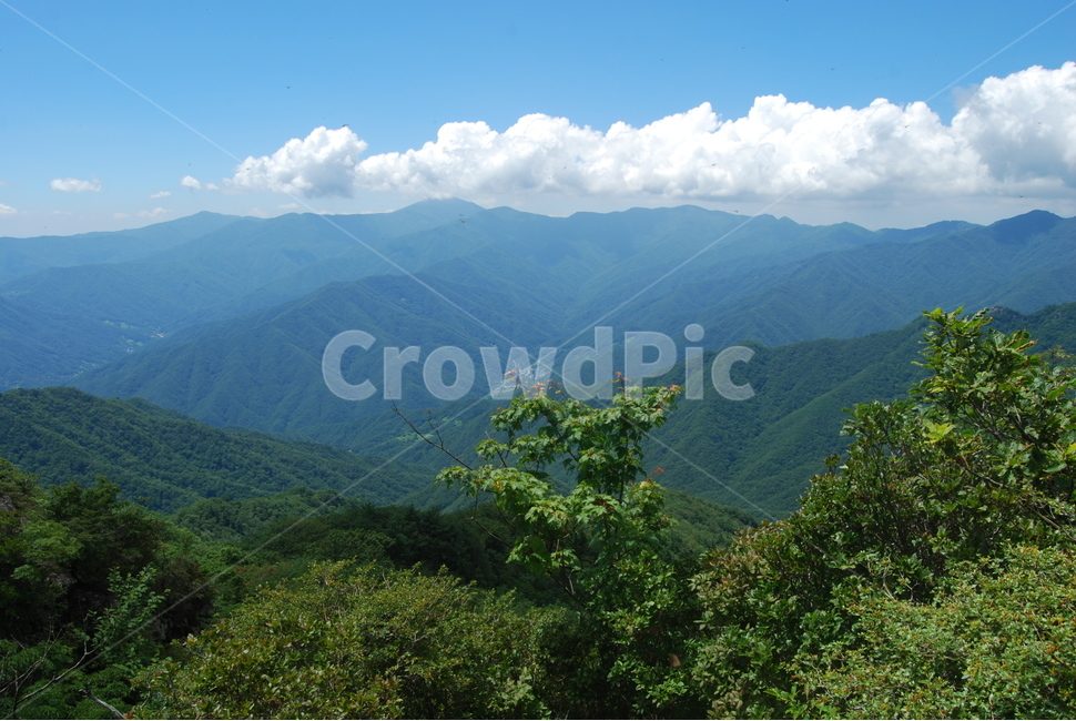 하늘,구름,산,나무,자연,자연,풍경,nature,landscape,outdoors,옥외,mountain range,산맥,mountain