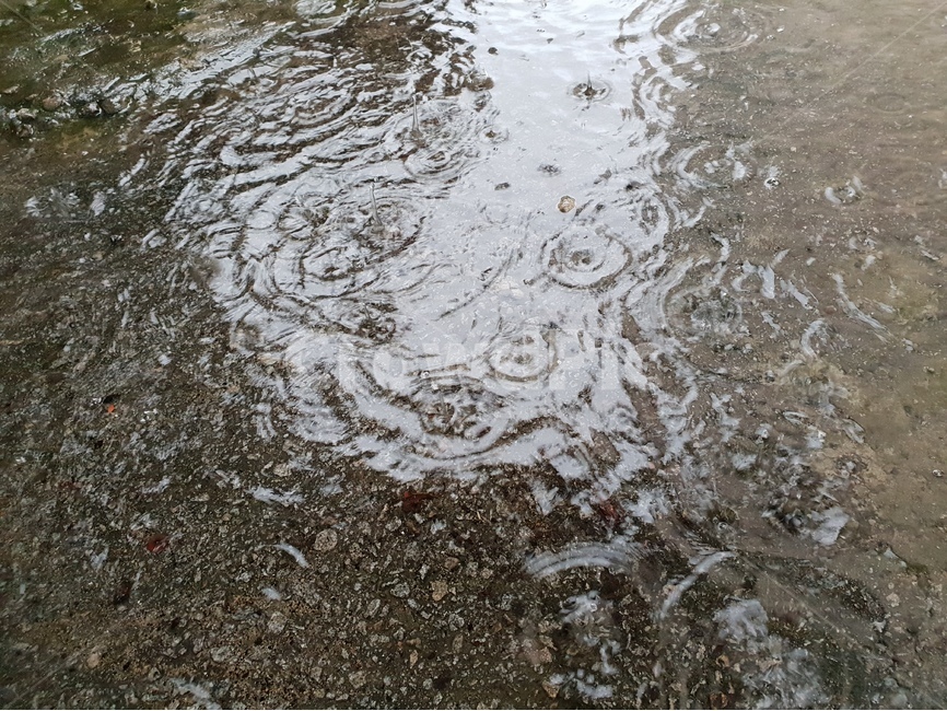 빗방울,물,빗물,패턴,배경,날씨,감정,비오는날,rain,raindrops,background,weather,pattern,비,비오는날,rain,rainy