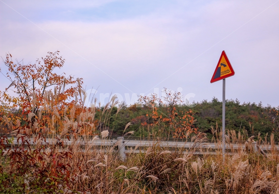 가을,갈대,표지판,하늘,추색,가을,계절,fall,autumn,season,자연,풍경,nature,landscape,plant,식물,grass,잔디