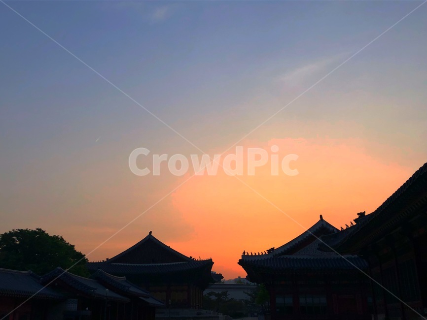 덕수궁,궁,궁궐,노을,한옥,일몰,서울,seoul,sunset,traditional,전통적인,한국적인,한국전통,한국문화,korean traditional,korean culture,건축물,건물외관,exterior,building,structure,architecture,construction
