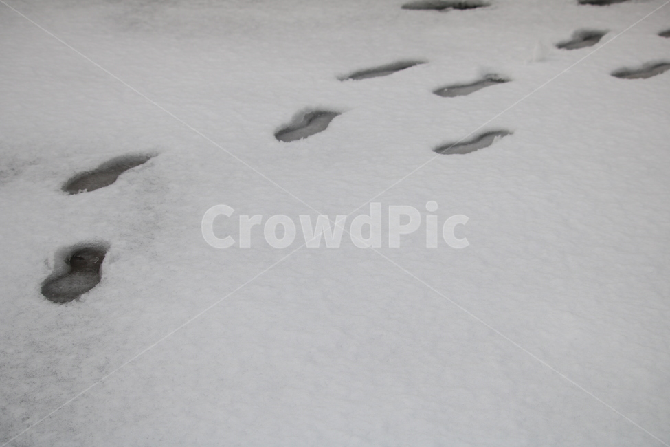 눈,겨울,발자국,눈발자국,snow,겨울,계절,winter,season