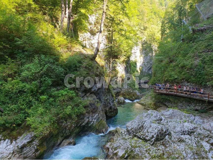 협곡,계곡,여름,슬로베니아,빈트가르,vintgar,gorge,valley,빈트가르협곡,계곡물,자연,풍경,동유럽,물,경관,더위,숲,나무,자연,풍경,nature,landscape,해외,외국,세계,foreign,oversea,world,세계자연풍경,해외자연풍경,외국자연풍경,world nature landscape,water,outdoors,옥외,stream,흐름,creek,작은 만