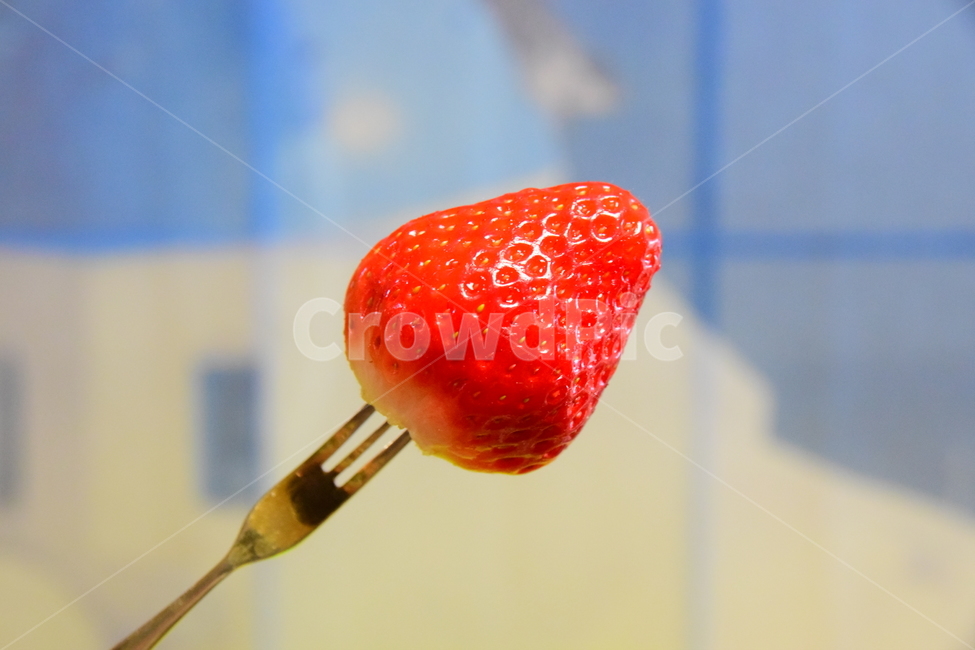 딸기,과일,음식,푸드,후식,신선,맛있는,빨간,빨강,포크,food,dessert,red,fork,fruit,음식,식재료,요리,food,cook,meal,dishes,food reserves,과일,열매,fruit