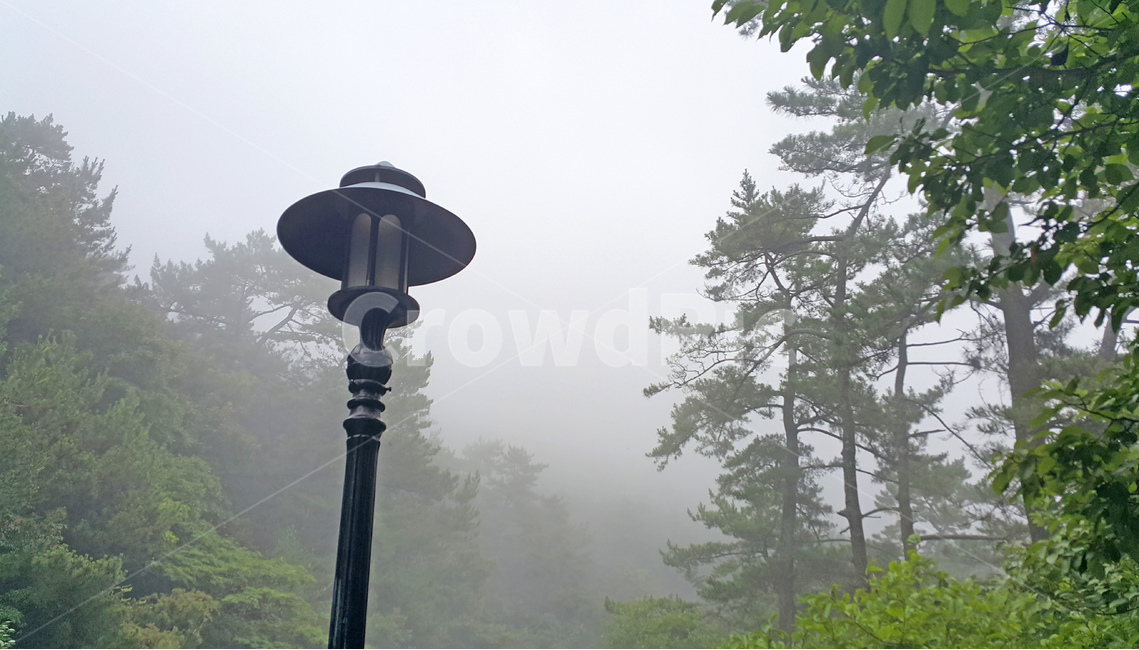 가로등,풍경,배경,안개,스산함