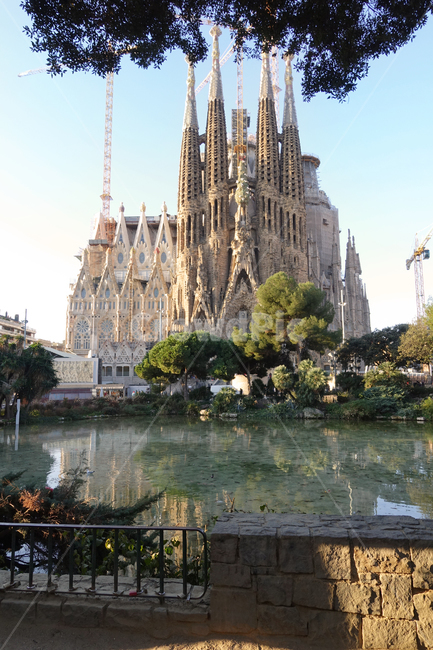 스페인,바르셀로나,사그라다파밀리아,대성당,사그라다파밀리아성당,성가족성당,성당,랜드마크