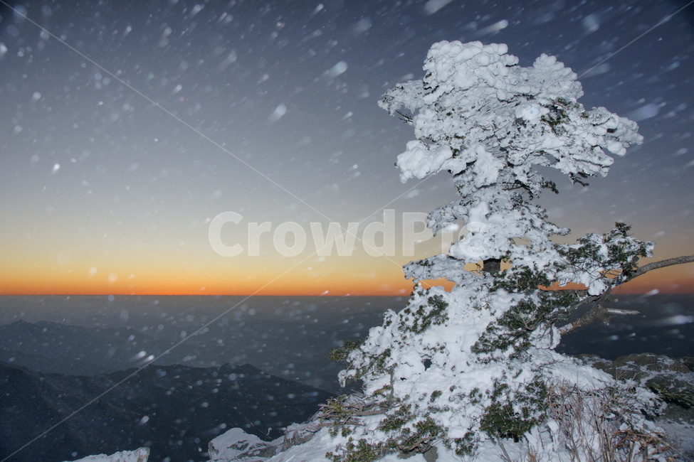 덕유산,무주,설경,풍경,눈,겨울,계절,winter,season,자연,풍경,nature,landscape,outdoors,옥외,snow