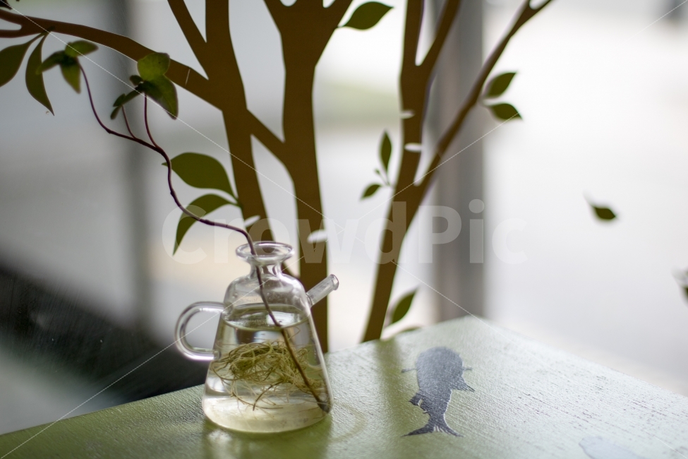 나무,풀,tree,유리병,bottle,테이블,식물,자연,plants,nature,인테리어,실내디자인,interior design