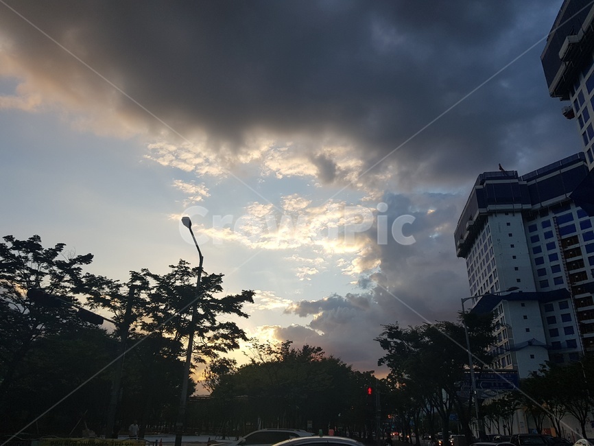 노을,구름,해,저녁,나무,도시,풍경,city,landscape,nature,자연,outdoors,옥외