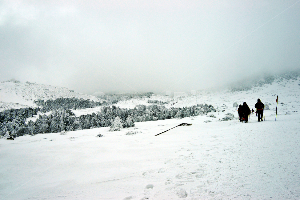 한라산,제주도,영실코스,설경,눈,겨울,설화,등산객,등산,발자국,겨울,계절,winter,season